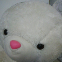 主播真会玩,还不快学起来?,孤影你慢点操作