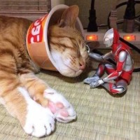 玩具益趣园:巴尔坦星人橡胶玩具,被赛罗奥特曼