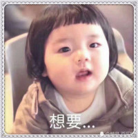 主播真会玩,学起来去冲分吧,孤影:我制霸野区啊