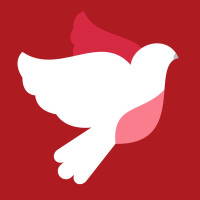 红翻 你说啥我都能扯上英语 口语需记住这几点