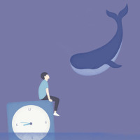 头顶的太阳燃烧着青春的余热