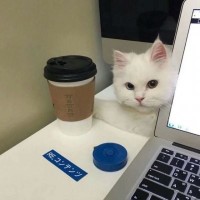 初级转笔基础慢动作教学,喜欢就赶紧试试吧!