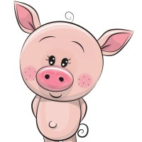 降央卓玛一曲《敖包相会》歌声太美了,唱到了极致,天籁之声