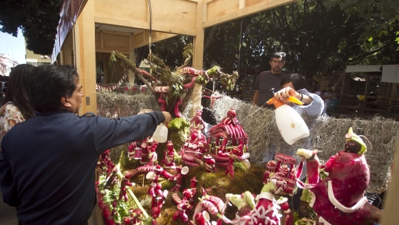 Զ��ȺӢ���� �����ܲ�����