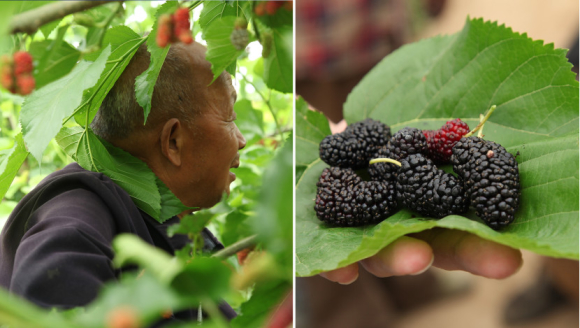 80��������׷�����30����ɣ�� ��ҵ��ɣ�ؾƴ�������ƶ