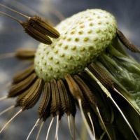 小伙室内唱《你一定要幸福》,歌词很扎心,原谅