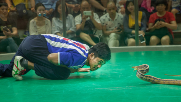 ̩�������о��� �����������������