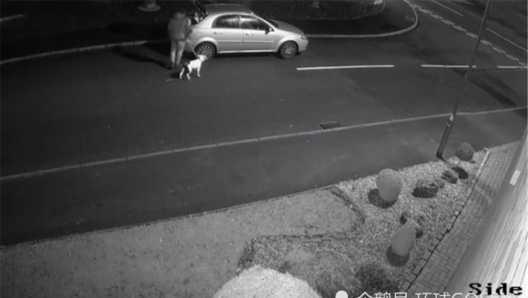 ������Ϊ�����ں�������Ϸ �ⲻ֪�Լ����ڱ�����