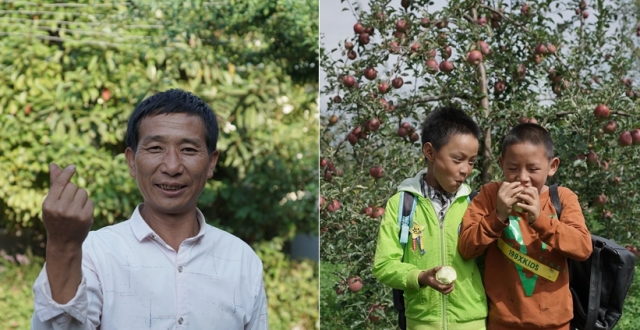 ����ɽ��ӳ��������ֹ����Ρ������� ƻ�����ó�ȴ����