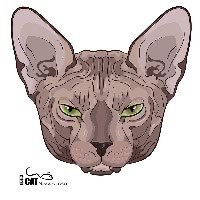 每当听到刀妹的台词,我的内心就在燃烧,台词热