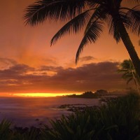 东部全明星阵容首发 队长字母哥 2019nba全明