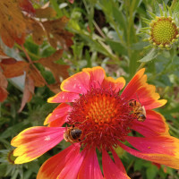 广场舞卡路里动感舞蹈教学,总教学