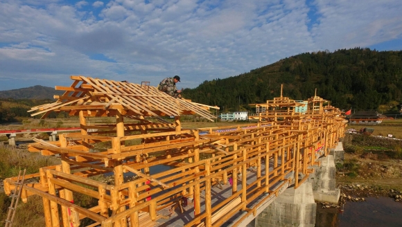 �����Խ���ֵ��������ţ�����һ�Ŷ�