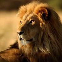 看台湾名嘴如何评价《流浪地球》