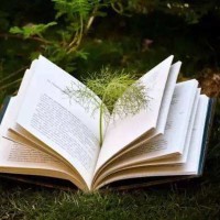 荣耀系列手机电池不耐用,换完电池满血复活,华