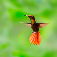 2016 最新搞笑小狗视频大全