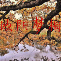 绝地求生:主播吃鸡遇队友是杨幂?我该要一张签