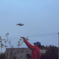 小学歌舞日不落舞蹈视频