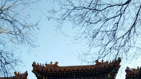 Ӻ�͹��������� �����ŶӼ�վ�� ������ƽ��