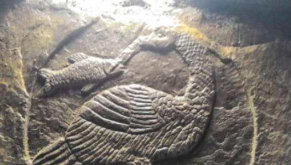 �����£�����������Ĺ �����״η�������������ʿ��