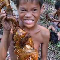 荒野小屁孩今天野外烤鸡翅膀吃,味道应该不错