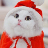 宋小睿演唱《夜之光》真是太好听了,网友:感觉