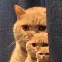 《西虹市首富》沈腾守门员经典搞笑片段