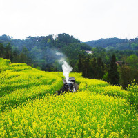 四川广元:这里是万达老总王健林的家乡,你觉得