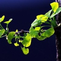 搞笑!唐僧妙计娶到白素贞