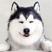 搞笑视频 笑死人不偿命 搞笑视频集锦 - 腾讯视