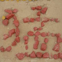 日本节目介绍中国的抖音为何如此火!