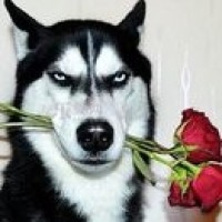 贾玲、沈腾爆笑小品《新白娘子传奇》笑点满满