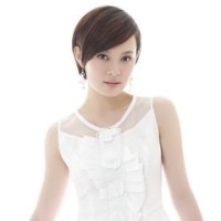 喜迎2019广场舞《吉祥中国年》正反面附教学