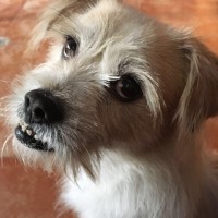 《多少的爱都不要》泰国MV拍得跟电视剧一样