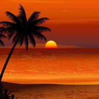 今天你累吗,解压乐园又带来了解压视频,快来一