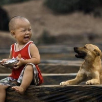向佐看到电视里的郭碧婷,一脸的开心,向太对儿