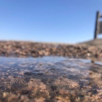 2019VIVO新手机发布iQOO