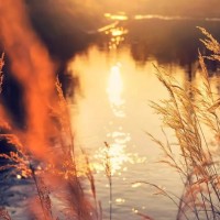 《阿丽塔 战斗天使》的主题曲,超好听的中文版