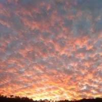 普京总统出行的排场霸气十足,简直是奔驰年度