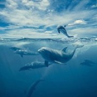 妈妈让女儿用不但而且造句,结果女儿的造句却