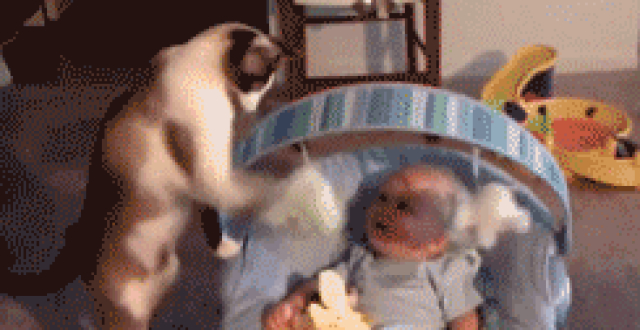 ÿ��ɳ���ͼ���Ǻ�������һ�ִ����