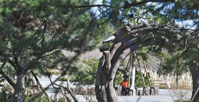 ���걱������283�����̵�