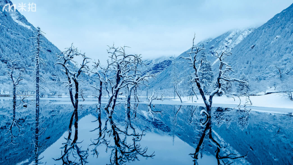 ��ͷ�´�����ԭ�Ĵ�ѩ������Ϊ��ɫ��ͯ������̫���ˣ�