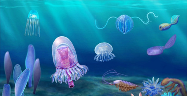 ��������5����ǰ���廯ʯ�� Ϊ����������󱬷��ṩ��֤��