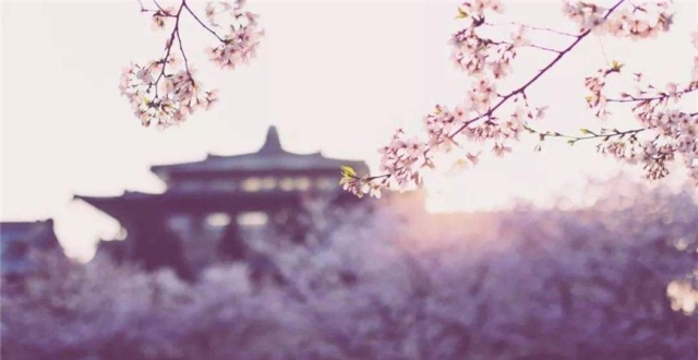 ����ʱ���������ͷ�����ӣ���򣬱���������������ǹ�߻�