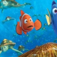 西乡黄麻布凤凰南苑