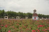 男子穿红内衣跪家门口哭因私自拆退老婆双11