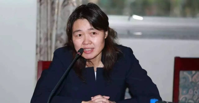 成功女老总_成功人士图片