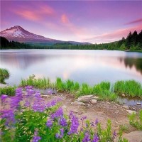 最暴汗的郑多燕减肥操,每天坚持半小时,快速瘦