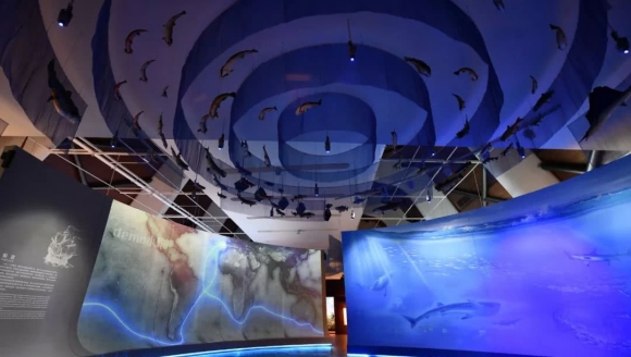 �������Ҳ�������Ͽ��ţ�������ź��������